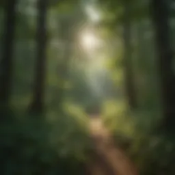 Lush greenery in a Northern Illinois state park showcasing diverse flora