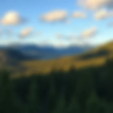 Breathtaking Alaskan Landscape A breathtaking view of an Alaskan landscape, perfect for bear observation.