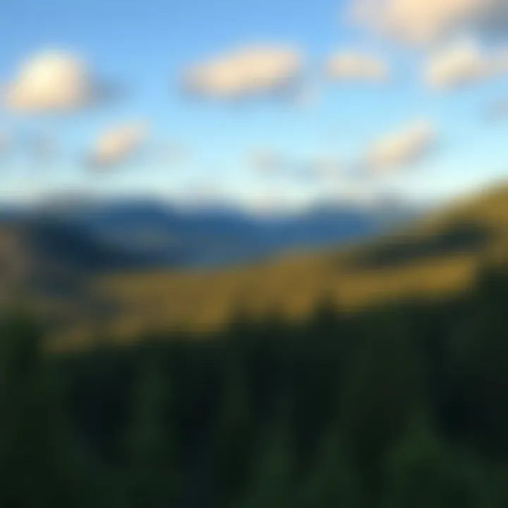 Breathtaking Alaskan Landscape A breathtaking view of an Alaskan landscape, perfect for bear observation.