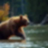 Brown Bear Fishing in Alaska A majestic brown bear fishing in a serene Alaskan river.
