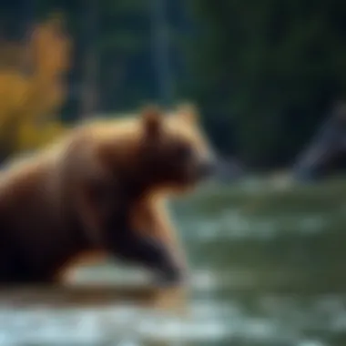 Brown Bear Fishing in Alaska A majestic brown bear fishing in a serene Alaskan river.