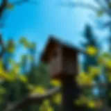 A well-positioned bat house under a clear blue sky