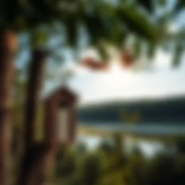 A scenic view of a bat house near a water source