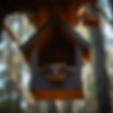 Close-up of a bat house showcasing its structural features