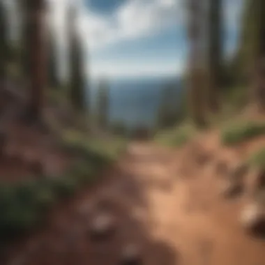 Visitors enjoying a hike along Pikes Peak