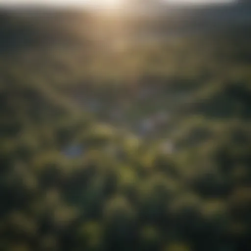 Aerial view showcasing the lush greenery of Pine Ridge.