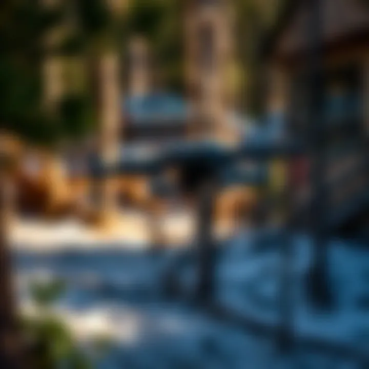 Drone flying over a wooded area