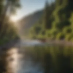 Stunning view of Boise River with surrounding nature