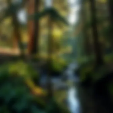 Conservation strategies for sustainable practices