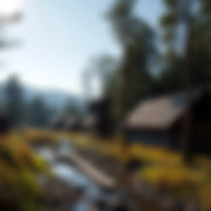 Historical landscape of Robinson Creek