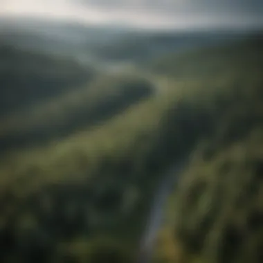 Aerial Perspective: Highlighting Reforestation Efforts An aerial depiction of reforestation efforts, emphasizing sustainable practices.