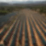 An aerial view of the agave fields in Mexico showcasing the lush landscape