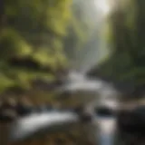 Stream flowing through a picturesque landscape, ideal for gold panning