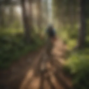 Scenic mountain biking trail in Colorado surrounded by lush greenery