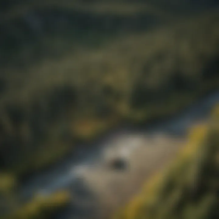 An aerial view of Alaskan wilderness showcasing bear habitats