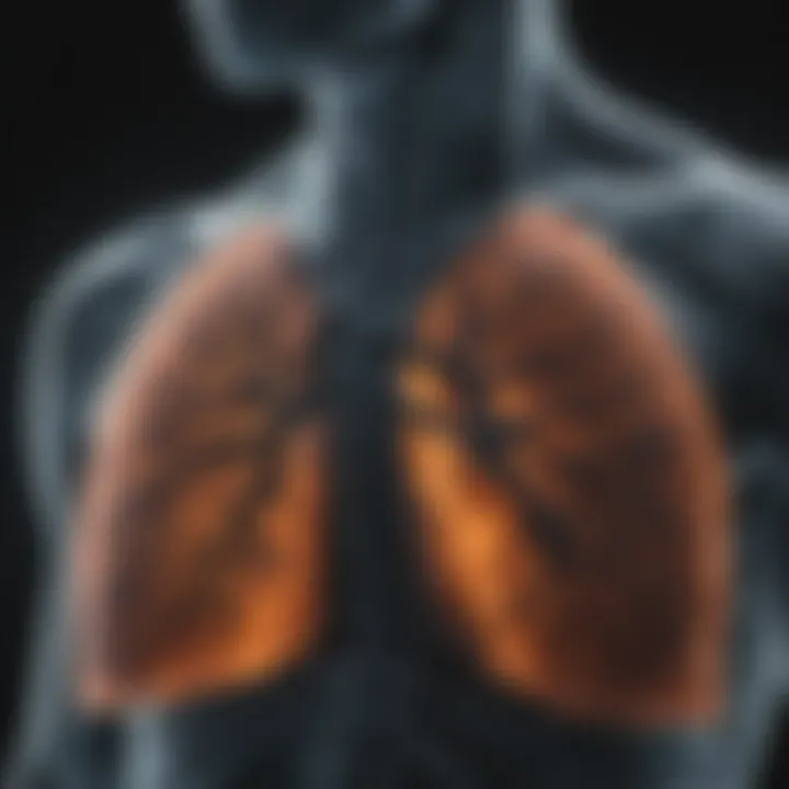 Close-up of a lung X-ray depicting effects of pollution on respiratory health.