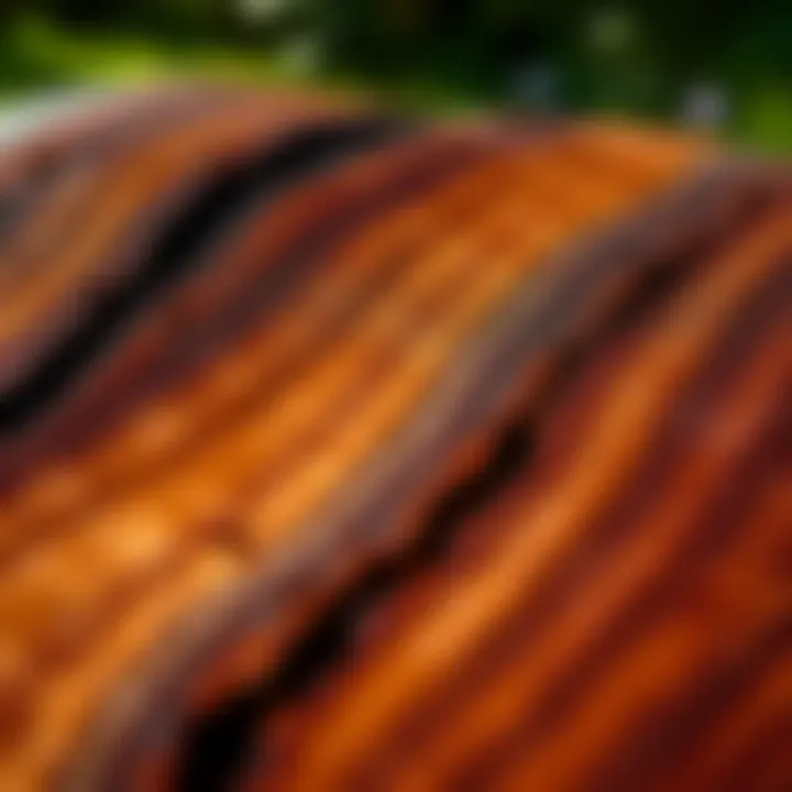 Rich Texture of Koa Wood A close-up of koa wood showing its rich texture and color, symbolizing sustainability