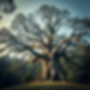 A majestic ancient tree symbolizing cultural heritage