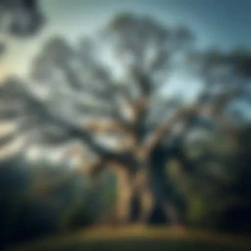 A majestic ancient tree symbolizing cultural heritage
