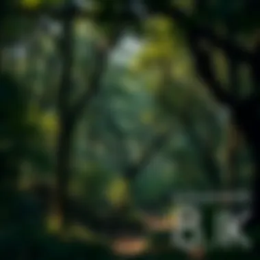 A lush forest showcasing ecological diversity and interconnection