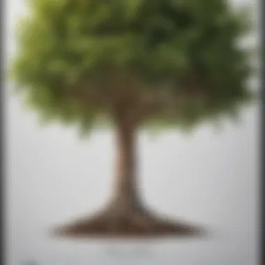 The Plant Tree Certificate: A Symbol of Commitment Close-up of a Plant Tree Certificate document