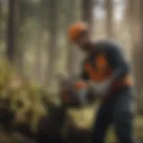 A skilled arborist expertly using a chainsaw for tree trimming in a forest