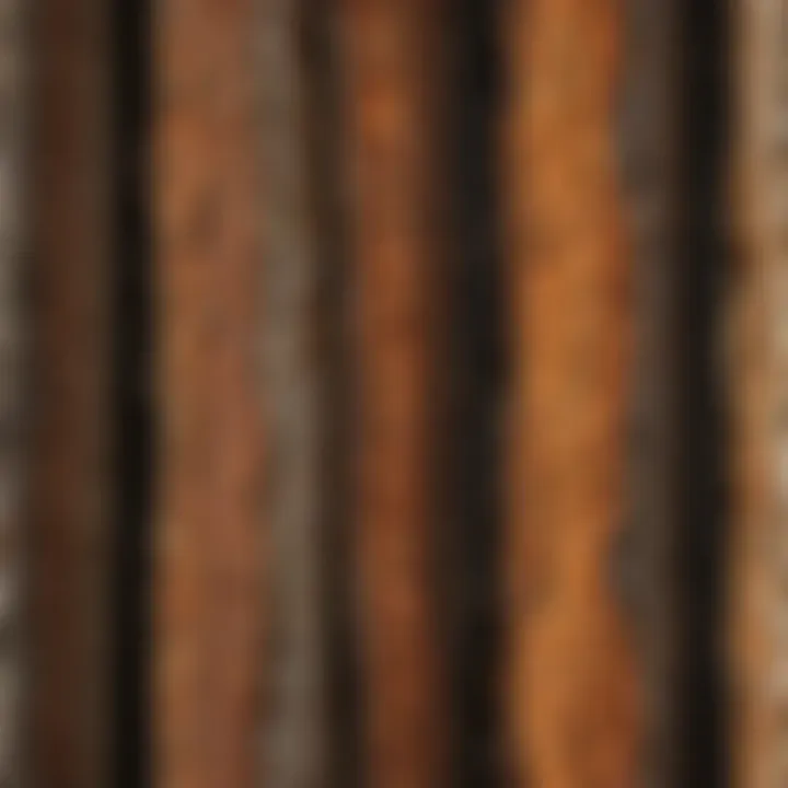 An illustration of different bark layers, highlighting their protective and structural roles.