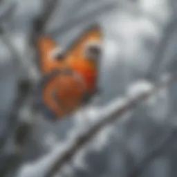 A butterfly resting on a snow-covered branch