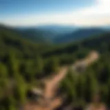 Majestic view of the Appalachian Trail winding through a lush forest
