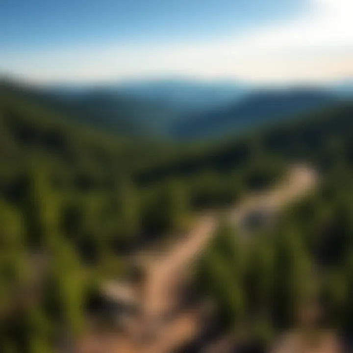 Majestic view of the Appalachian Trail winding through a lush forest