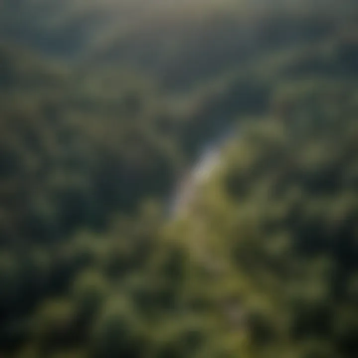 An aerial view of sustainable forestry practices.