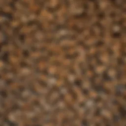 An array of neatly stacked firewood showcasing different types of wood