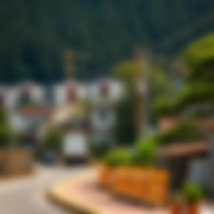 Urban Encroachment on Fox Habitats A contrasting landscape of urban development encroaching on fox habitats.