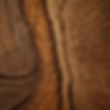 Intricate Grain Patterns of Hardwood Close-up of a hardwood lumber grain pattern