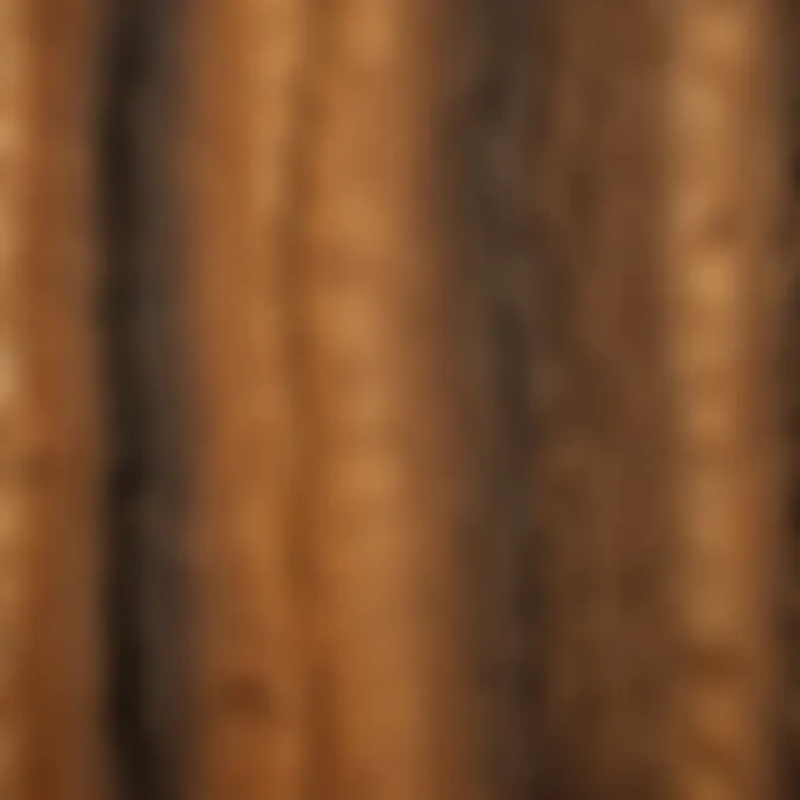 Close-up of heartwood displaying unique grain patterns