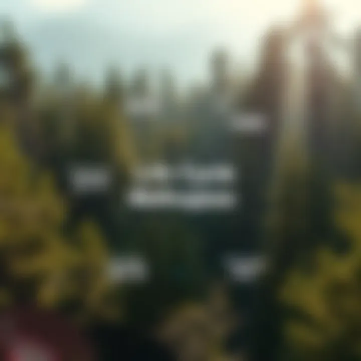 Graphical representation of life cycle cost analysis methodology.