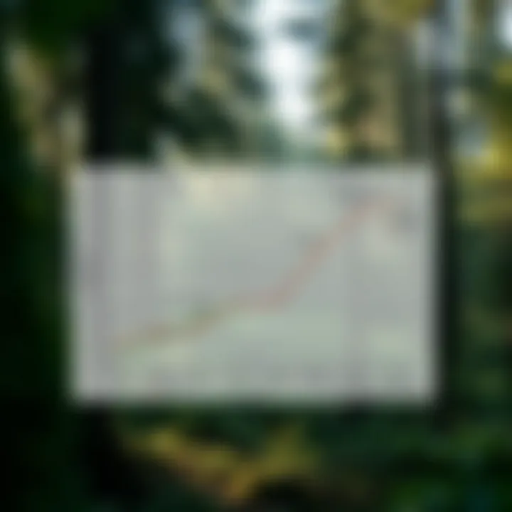 A chart illustrating the implications of sustainable forest management practices.