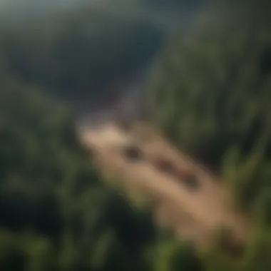 An aerial view of a well-managed forest showcasing sustainability practices