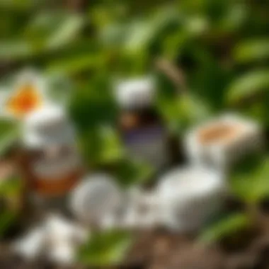 Over-the-counter medications for poison ivy treatment, including creams and antihistamines