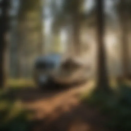 A serene forest landscape with RVs parked in designated camping areas