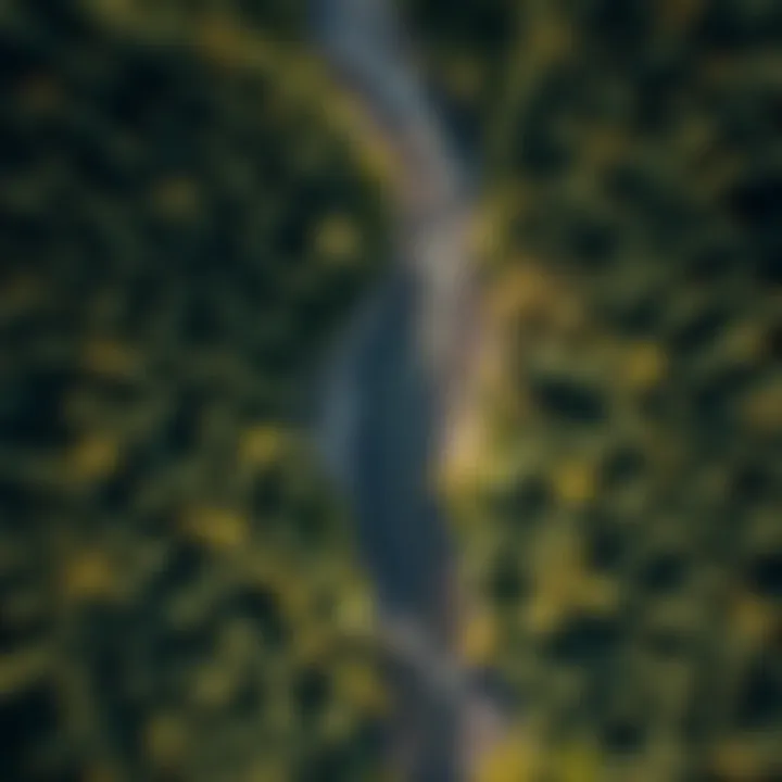 Aerial view of a forested landscape adjacent to a river