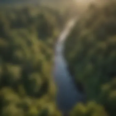 An aerial view of a forest landscape emphasizing conservation areas