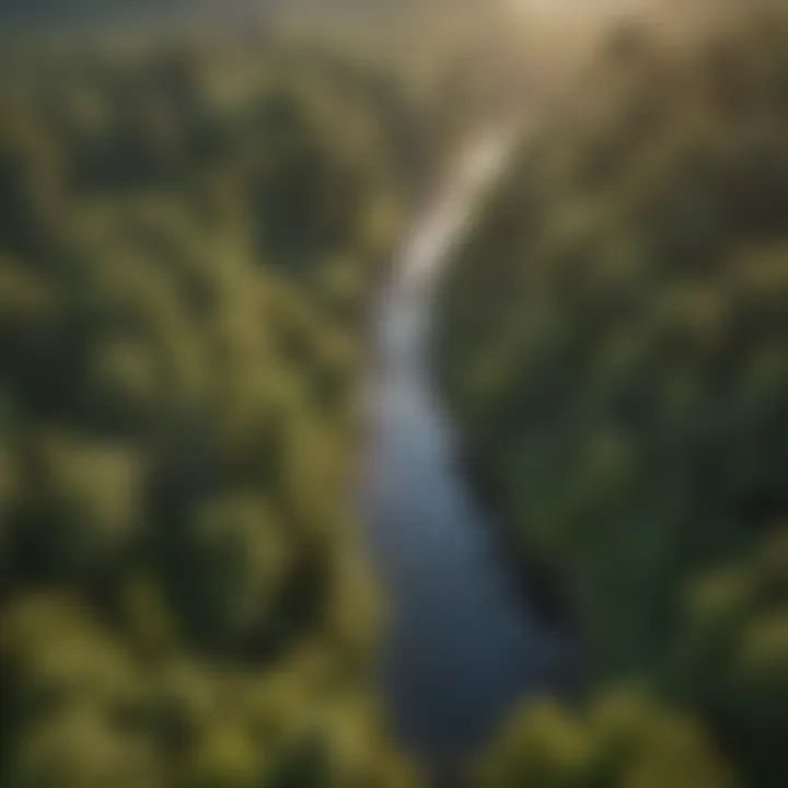 An aerial view of a forest landscape emphasizing conservation areas