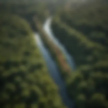 Aerial view of the Red Loop in Washington DC showcasing its lush greenery