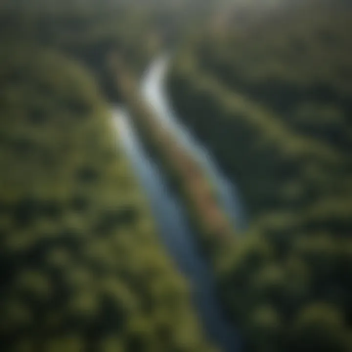 Aerial view of the Red Loop in Washington DC showcasing its lush greenery