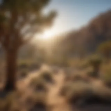 Ecological Significance of Joshua Trees An illustration displaying the ecological role of Joshua Trees in their desert habitat.