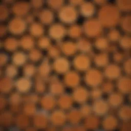 Close-up view of timber piles showcasing wood grain and texture