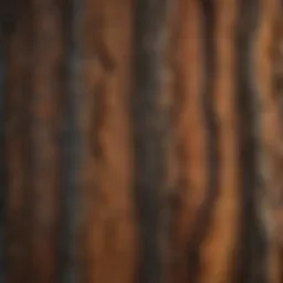 A close-up of tree bark showcasing intricate textures and patterns.