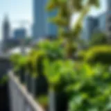 Thriving Greenery: Rooftop Gardens in Urban Landscapes Lush green rooftop garden thriving in an urban environment