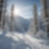 Scenic view of backcountry skiing terrain with fresh powder snow